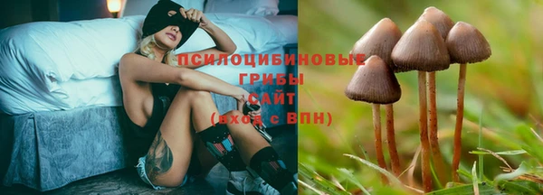 прущие крисы Алексеевка