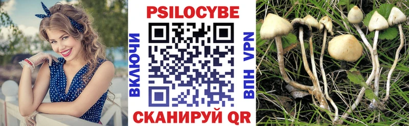 Псилоцибиновые грибы Magic Shrooms Курлово