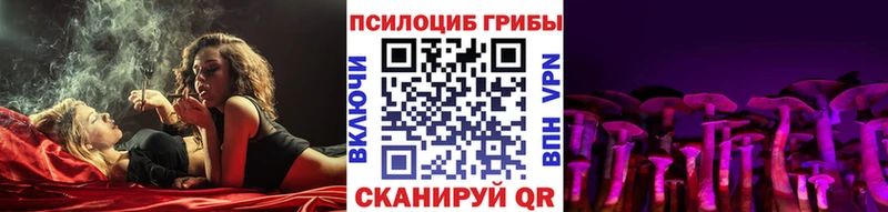 Псилоцибиновые грибы мицелий  маркетплейс Telegram  Курлово  наркота 